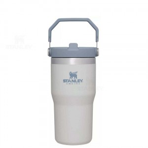 Gourdes Stanley The IceFlow Flip Straw | 20 OZ | France_S1932