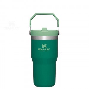 Gourdes Stanley The IceFlow Flip Straw | 20 OZ | France_S1794