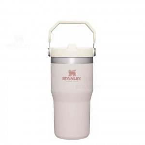 Gourdes Stanley The IceFlow Flip Straw | 20 OZ | France_S2353
