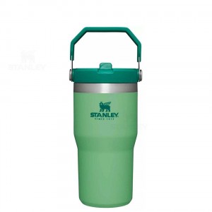 Gourdes Stanley The IceFlow Flip Straw | 20 OZ | France_S1532