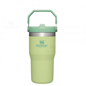 Gourdes Stanley The IceFlow Flip Straw | 20 OZ | France_S1057