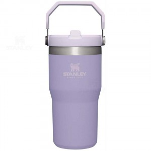 Gourdes Stanley The IceFlow Flip Straw | 20 OZ | France_S2362