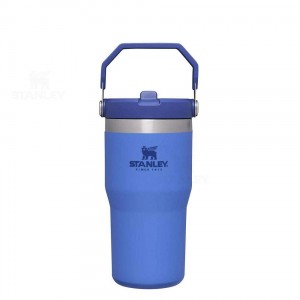 Gourdes Stanley The IceFlow Flip Straw | 20 OZ | France_S1178