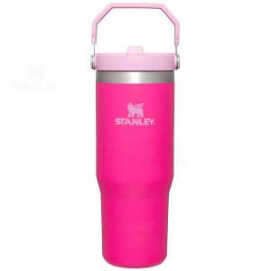 Gourdes Stanley The IceFlow Flip Straw | 30 OZ | France_S1597