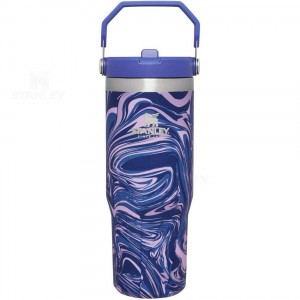 Gourdes Stanley The IceFlow Flip Straw | 30 OZ | France_S2235