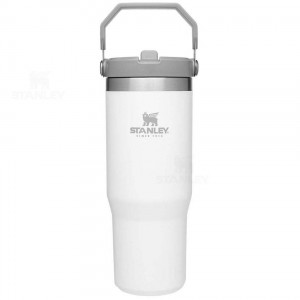 Gourdes Stanley The IceFlow Flip Straw | 30 OZ | France_S1570