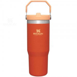 Gourdes Stanley The IceFlow Flip Straw | 30 OZ | France_S1518