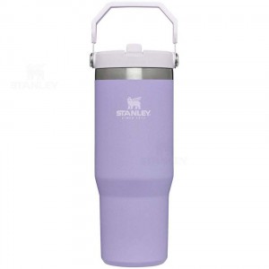 Gourdes Stanley The IceFlow Flip Straw | 30 OZ | France_S1271