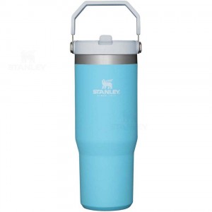 Gourdes Stanley The IceFlow Flip Straw | 30 OZ | France_S1545