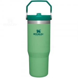Gourdes Stanley The IceFlow Flip Straw | 30 OZ | France_S1842
