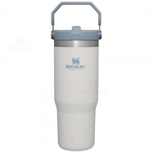 Gourdes Stanley The IceFlow Flip Straw | 30 OZ | France_S2251