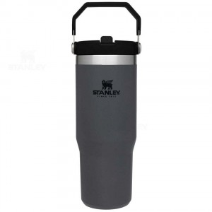 Gourdes Stanley The IceFlow Flip Straw | 30 OZ | France_S2260