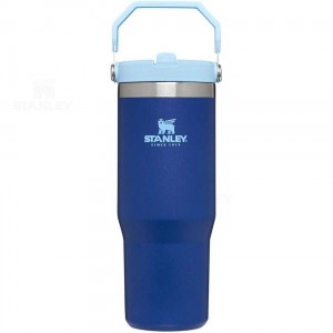 Gourdes Stanley The IceFlow Flip Straw | 30 OZ | France_S1825