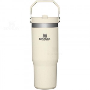 Gourdes Stanley The IceFlow Flip Straw | 30 OZ | France_S2371