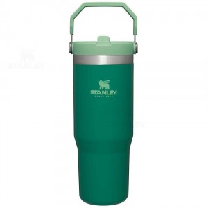 Gourdes Stanley The IceFlow Flip Straw | 30 OZ | France_S1820