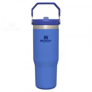 Gourdes Stanley The IceFlow Flip Straw | 30 OZ | France_S2377