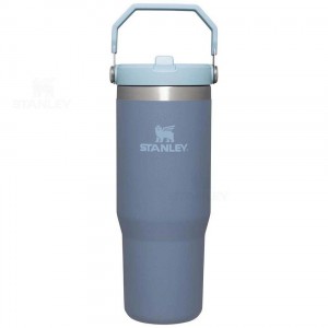 Gourdes Stanley The IceFlow Flip Straw | 30 OZ | France_S2361