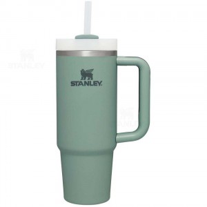 Gourdes Stanley The Quencher H2.0 FlowState™ (Soft Matte) | 30 OZ | France_S1850