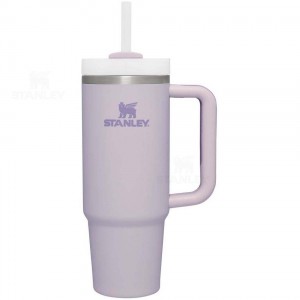 Gourdes Stanley The Quencher H2.0 FlowState™ (Soft Matte) | 30 OZ | France_S1236