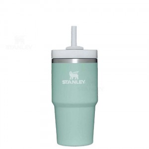 Gourdes Stanley The Quencher H2.0 FlowState™ | 20 OZ | France_S1148