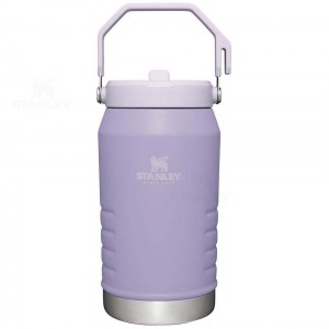 Jugs Stanley The IceFlow Flip Straw | 64 OZ | France_S2102