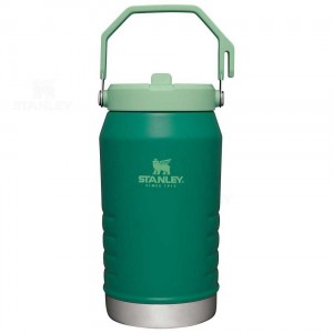 Jugs Stanley The IceFlow Flip Straw | 64 OZ | France_S2199