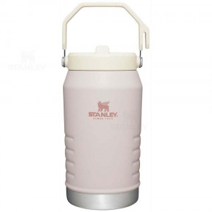 Jugs Stanley The IceFlow Flip Straw | 64 OZ | France_S1139