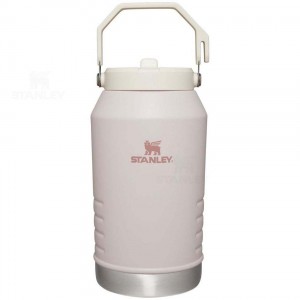 Jugs Stanley The IceFlow Flip Straw | 96 OZ | France_S1028