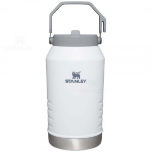 Jugs Stanley The IceFlow Flip Straw | 96 OZ | France_S1431