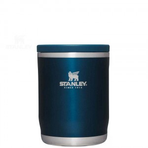 Lunch Boxes Stanley Adventure To-Go Aliments Jar | 18 OZ | France_S1300