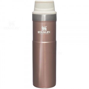 Mugs Stanley Classiche Trigger-Action Travel | 20 OZ | France_S1153