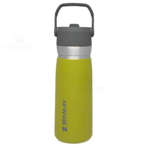 Tumblers Stanley The Go Flip Straw | 22 OZ | France_S2000