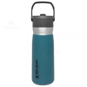 Tumblers Stanley The Go Flip Straw | 22 OZ | France_S1552