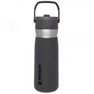Tumblers Stanley The Go Flip Straw | 22 OZ | France_S1947