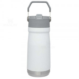 Tumblers Stanley The IceFlow Flip Straw | 17 OZ | France_S1135