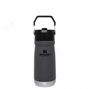 Tumblers Stanley The IceFlow Flip Straw | 17 OZ | France_S1641
