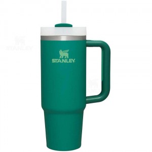 Tumblers Stanley The Quencher H2.0 Flowstate™ | 30 OZ | France_S1738